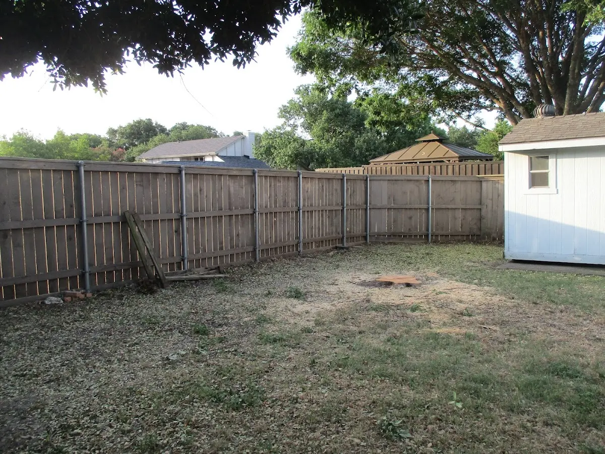 Cleared yard after professional tree removal in Gatlinburg