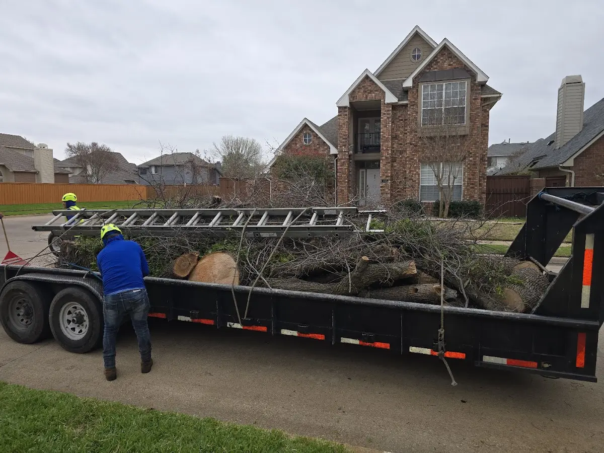 Expert Tree Pest Control with proper safety equipment in Gatlinburg
